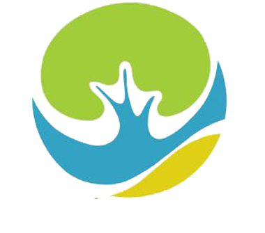 B bikes tours
